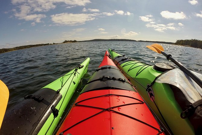 1-Day Small-Group Stockholm Archipelago Kayak Tour - Wildlife and plant spotting: what you notice when someone points