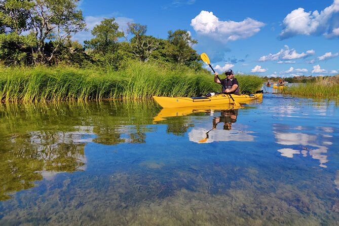 1-Day Small-Group Stockholm Archipelago Kayak Tour - Price and value: what $223.82 is really paying for