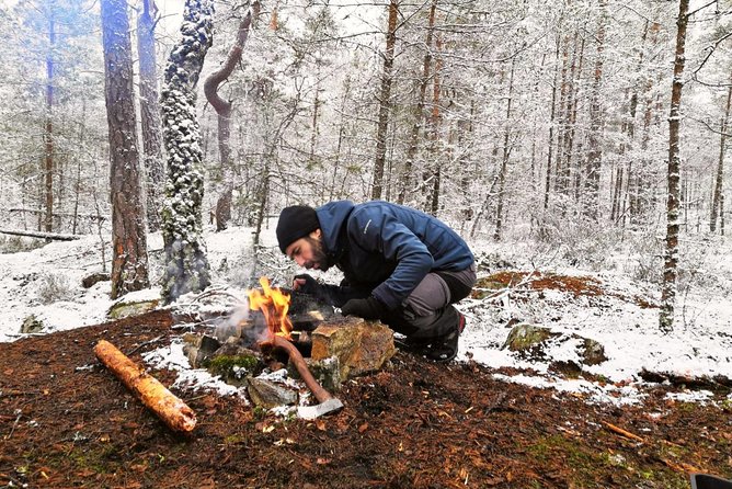 1-Day Small-Group Stockholm Nature Hiking - Price and Logistics: What You’re Really Paying For