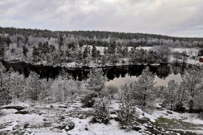 1-Day Small-Group Stockholm Nature Hiking - Meeting Point in Stockholm: Easy Start, Clear Return