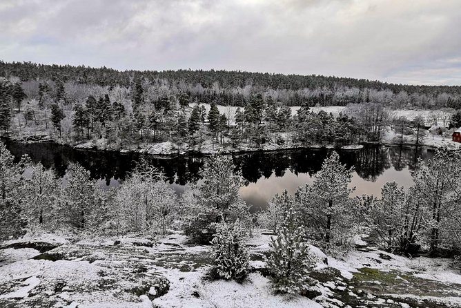 1-Day Small-Group Stockholm Nature Hiking - Meeting Point in Stockholm: Easy Start, Clear Return