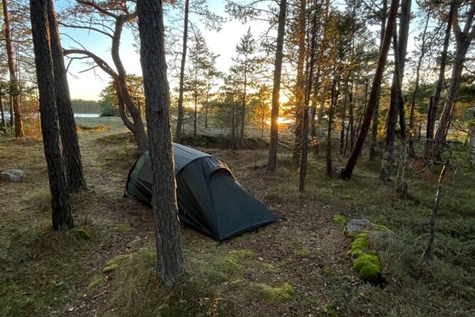 2-Day Kayak Tour in the Stockholm Archipelago - The second two-hour paddle: more shoreline, less talking, better views