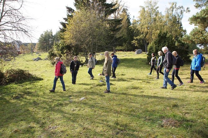 3-4h Viking History Short Day Tour from Stockholm - Jarlabanke Runestones and the Viking Causeway: Where Stone Becomes a Message