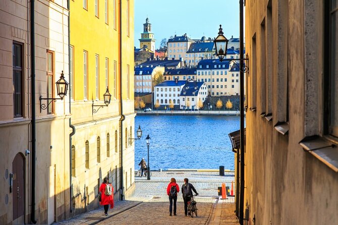 Drottningholm Palace Private Guided Tour - Who this private Drottningholm tour suits best