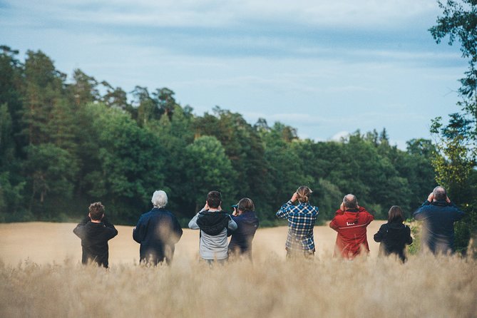 Evening Wildlife Safari Stockholm - Key highlights worth planning around