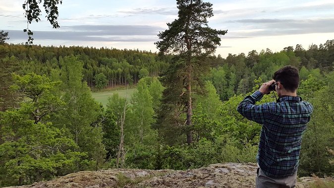 Evening Wildlife Safari Stockholm - Why This Evening Safari Works So Well for Stockholm Nights