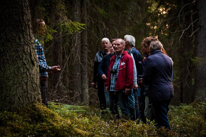 Evening Wildlife Safari Stockholm - Bornsjön Nature Reserve: Open-Fire Dinner With Real Sunset Views