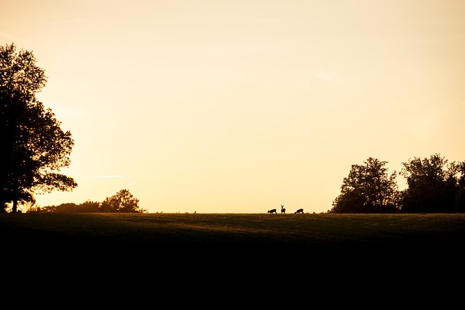 Evening Wildlife Safari Stockholm - First Step at The Green Trails: Get Oriented Fast