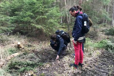 Evening Wildlife Safari with Campfire Dinner from Stockholm - The 18:00 to late-afternoon rhythm: what the evening feels like