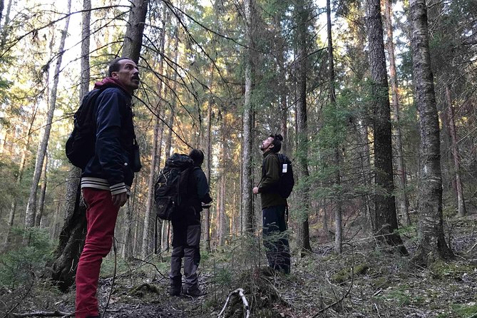 Evening Wildlife Safari with Campfire Dinner from Stockholm - Fire-making and bonfire dinner: the part that makes it feel like Sweden