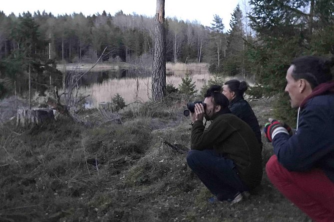 Evening Wildlife Safari with Campfire Dinner from Stockholm - Who this safari is best for, and who should think twice