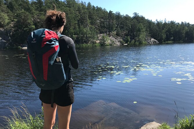 Forestbathing Slow Walking and Healing Spring Water, Stockholm - The 4-hour flow: slow steps, senses, and a real breather
