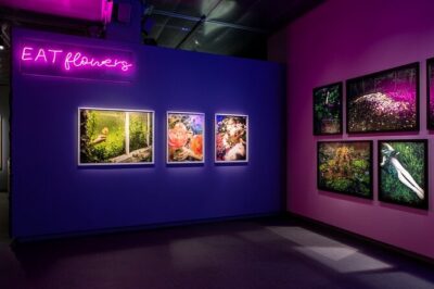 Fotografiska Stockholm Admission Ticket - Inside the museum: how to handle different exhibition styles