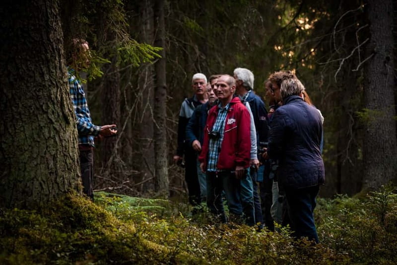 From Stockholm: Moose & Wildlife Safari with Campfire Dinner - Who this tour fits best