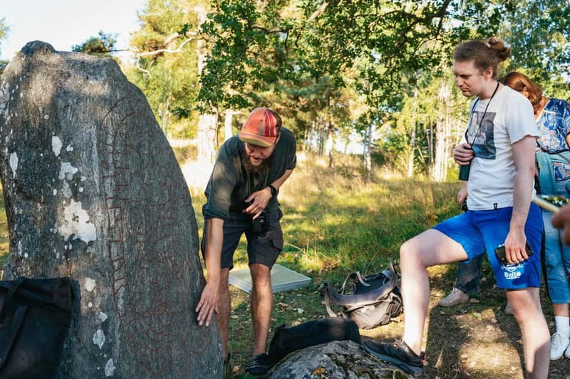 From Stockholm: Moose & Wildlife Safari with Campfire Dinner - Building a campfire and eating Swedish-style in the wild