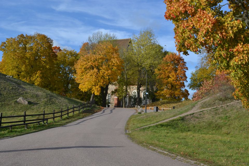 From Stockholm: Uppsala and Sigtuna Viking Sites Tour - Pricing and Value: What $235 Buys You in a 9-Hour Format