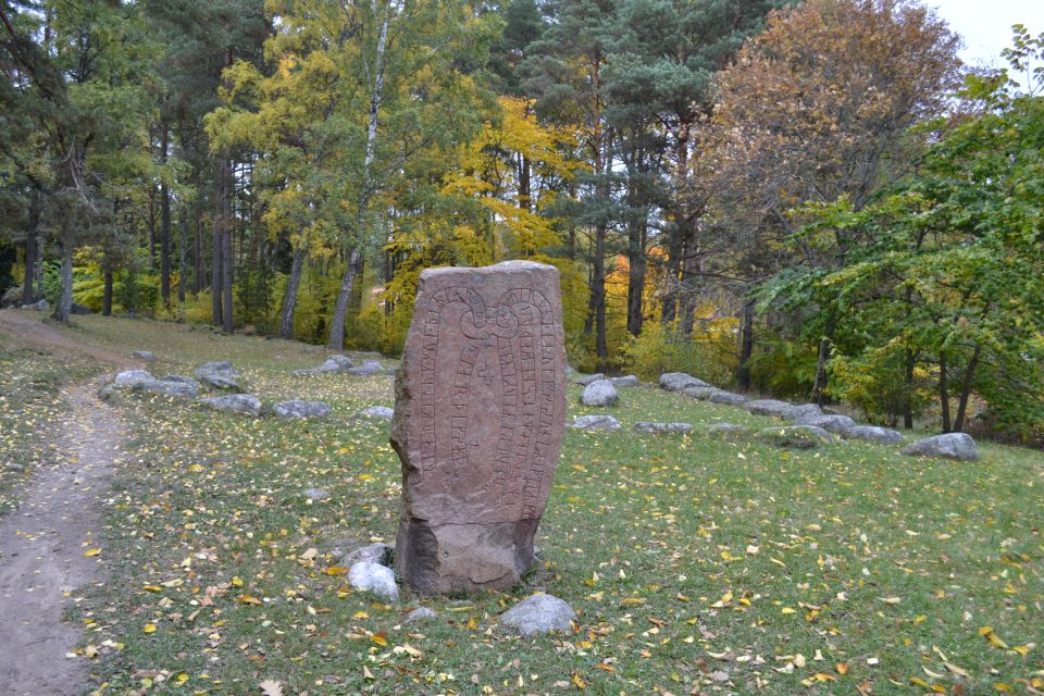 From Stockholm: Uppsala and Sigtuna Viking Sites Tour - Pickup, Small Bus Energy, and How You’ll Hear the Guide