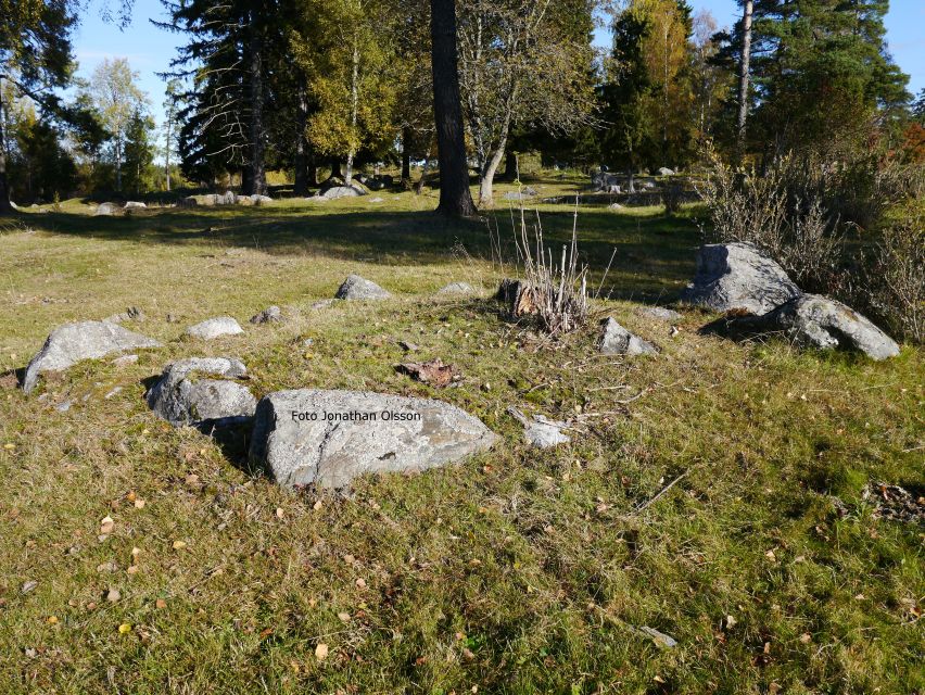 From Stockholm: Viking Culture and Heritage Small Group Tour - Arkils tingstad: The Remains of a Viking Parliament