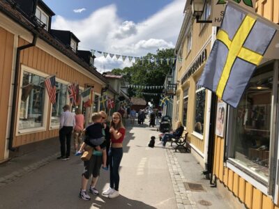 From Stockholm: Viking Culture Guided Tour with Transfer - Broby bro Grave Field: pagan burial practices and Estrid’s real connection