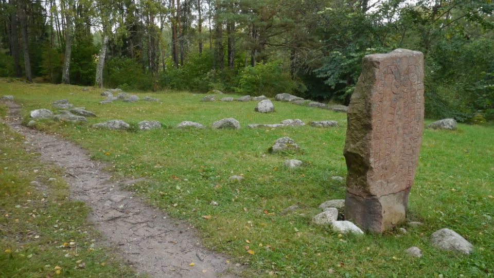 From Stockholm: Viking Culture Guided Tour with Transfer - Who should book this (and who might want a different format)?