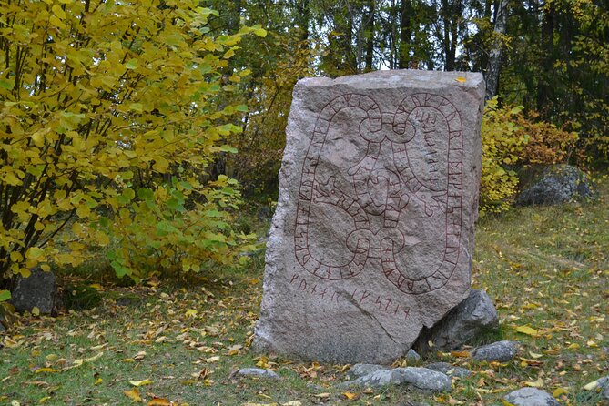 Full Day Viking Tour with Fika Swedish Coffee Break - Jarlabanke Runestones: Learning How to Read Messages in Stone