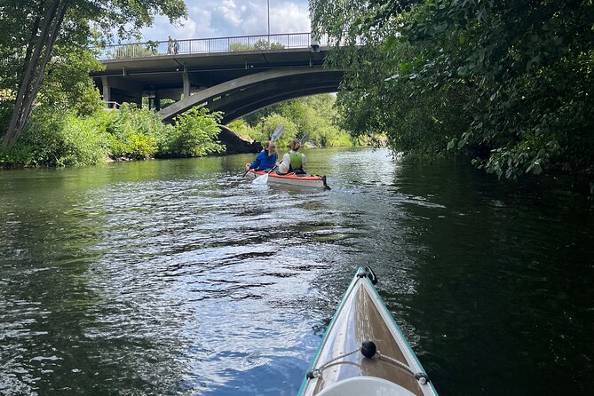 Guided Kayak Tour in Central Stockholm - Small-Group Energy: Guides, Boats, and the Comfort of Attention