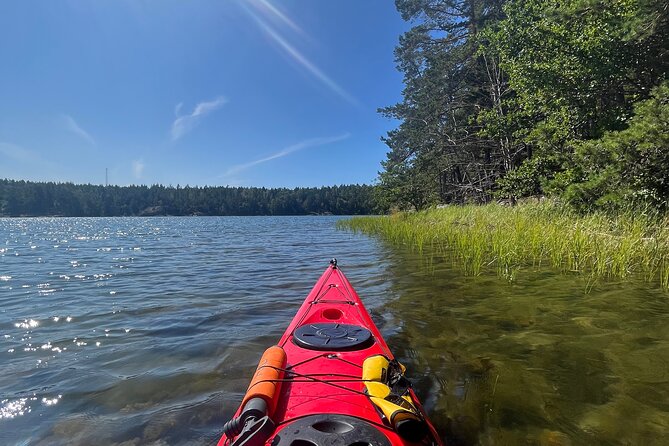 Kayak Tour in the Stockholm Archipelago with Lunch Meal - Optional Swim in the Baltic Sea: When to Say Yes