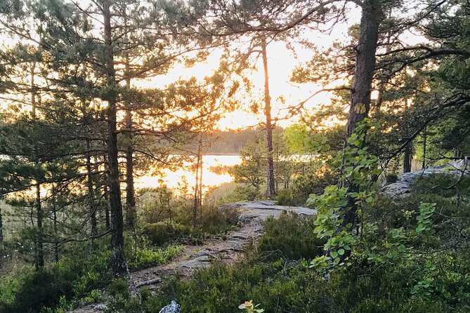 Midnight Sun and Campfire - National Park evening hike Stockholm - Tyresta National Park after 6:30 pm: the setting that makes it work