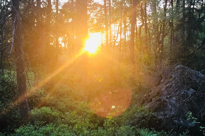 Midnight Sun and Campfire - National Park evening hike Stockholm - Red log-houses and early settlement fika: a different kind of Swedish moment