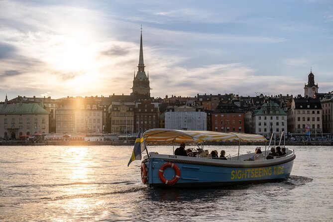 Open Electric Boat Ride in Stockholm with Live-Guide - Key things you’ll notice on this electric ride