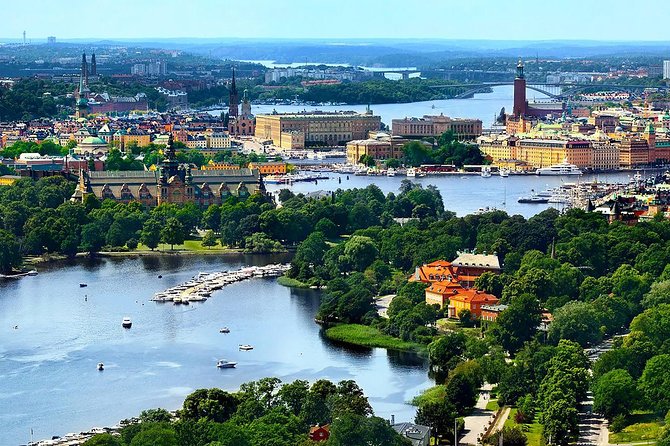 Private full day VIP city tour by limousine car in Stockholm - Royal Palace and guard changing, with an inside option if you ask