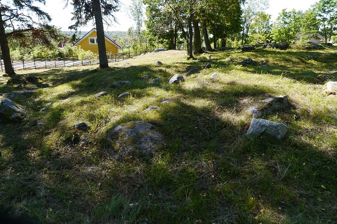 Private Tour: 3h Viking History from Stockholm to Runic Kingdom - Why This Tour Works for Authentic Viking Understanding