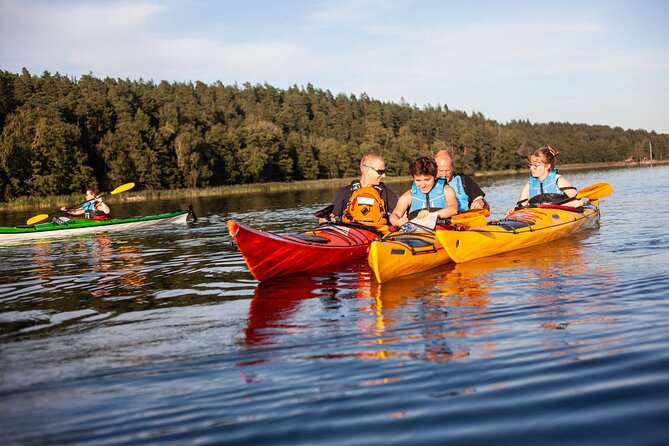 Stockholm: Archipelago Family-Friendly Private Kayaking Tour - Why This Private Kayaking Tour Works So Well for Families