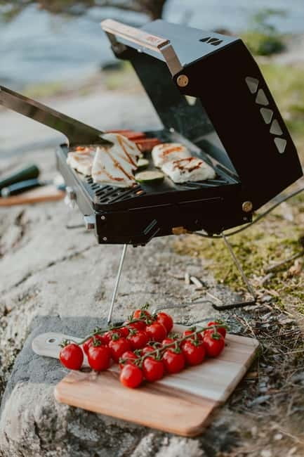 Stockholm: Archipelago Islands Kayak Tour and Outdoor Picnic - Wildlife Moments You Can Actually Notice (Not Just Hope For)