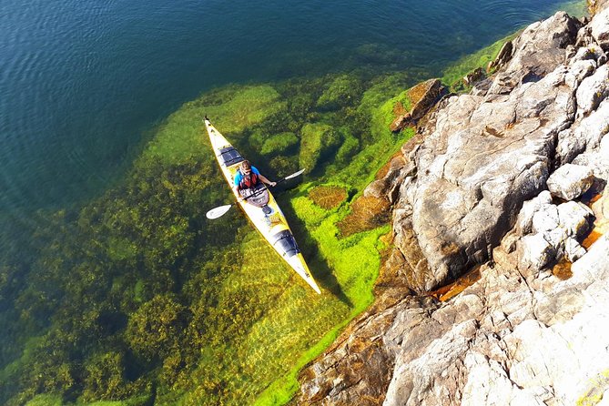 Stockholm Archipelago Kayaking Day Tour - Key Points Before You Go