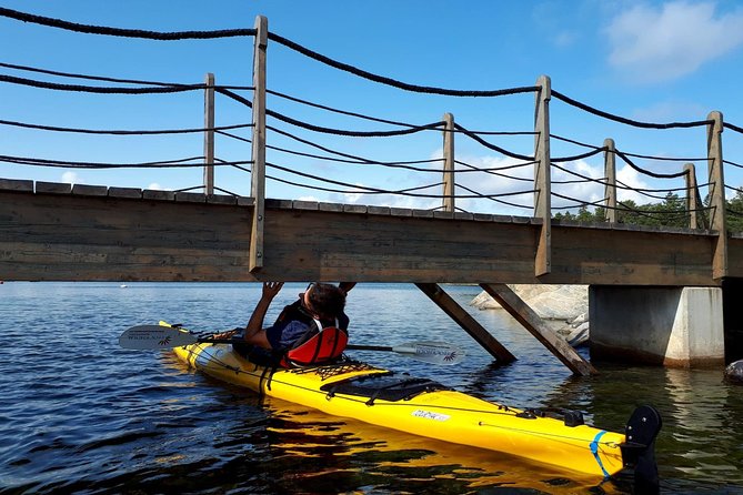 Stockholm Archipelago Kayaking Day Tour - Wildlife, Geology, and Local Stories You Can See From the Kayak