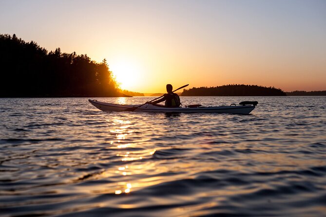 Stockholm Archipelago Sunset Kayaking and Fika tour - Key things to know before you paddle