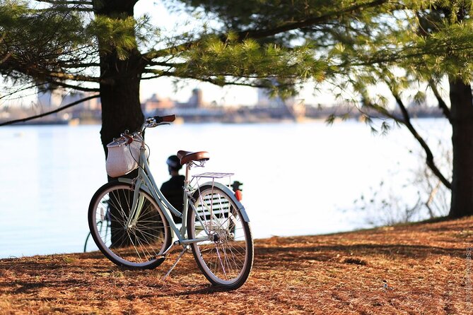 Stockholm Bike Tour - Why a Canal-Focused Bike Tour Gets You Oriented Fast in Stockholm