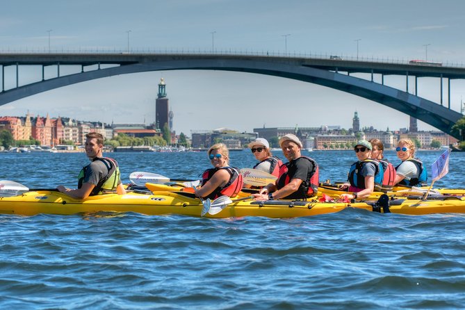Stockholm City Kayak Tour - Winter 4-Hour Tours: Drysuits, Pogies, and Warm Food