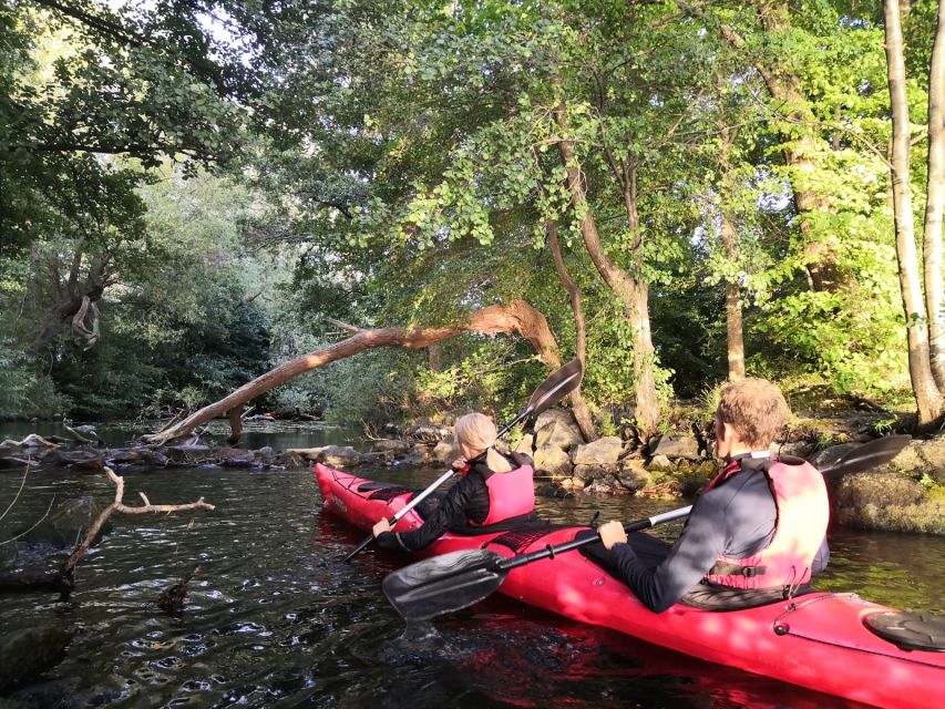 Stockholm Evening Kayak with BBQ. - What You’ll See on the Water (And Why It’s Worth Paying For)