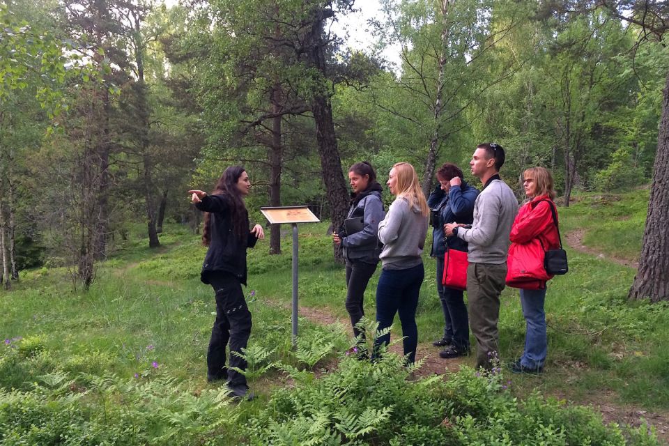 Stockholm: Evening Wildlife Safari with Midsummer Meal - Historic Stops You Can’t Get From a Train Window