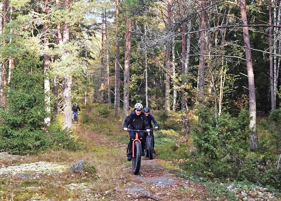 Stockholm: Fat Bike Forest Adventure with Lunch and Sauna - Timing, Transfers, and How to Not Feel Rushed