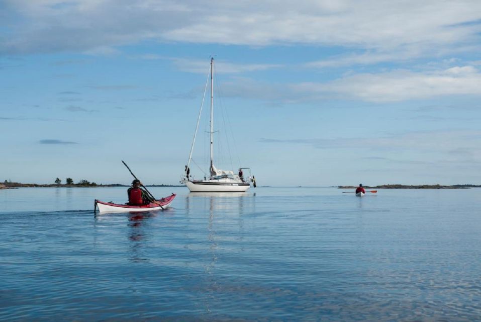 Stockholm: Full-Day Archipelago Kayaking Adventure - Wildlife chances: eagles, seals, and the thrill of quiet scanning