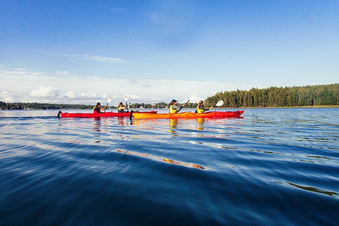 Stockholm: Kayaking tour around Vaxholm Archipelago with Fika - Vaxholm Archipelago: The Stockholm Day Trip That Feels Like a Shortcut to “Real Sweden”