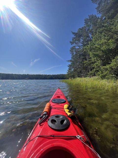 Stockholm: Morning Kayak Tour in the Archipelago with Lunch - Island Lunch by Campfire: Organic Food With Real Outdoors Energy
