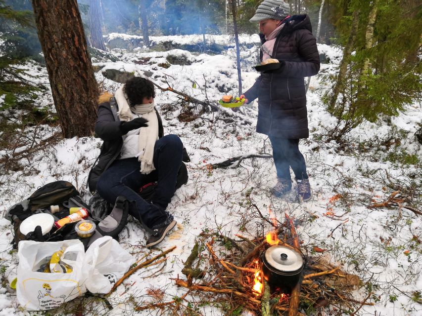 Stockholm: Nature Hike with Campfire Lunch - Leaving Stockholm for a Winter Forest Lesson