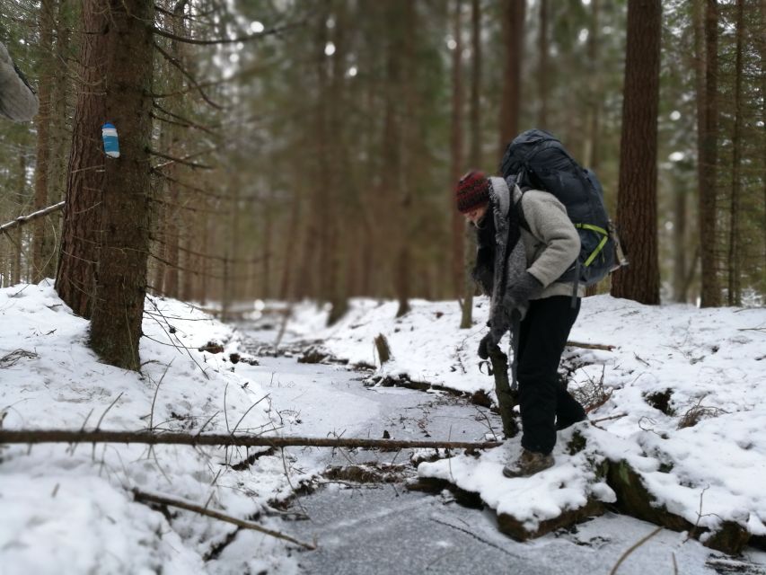Stockholm: Nature Hike with Campfire Lunch - The Walk In: Avoid the Paths and Read the Woods