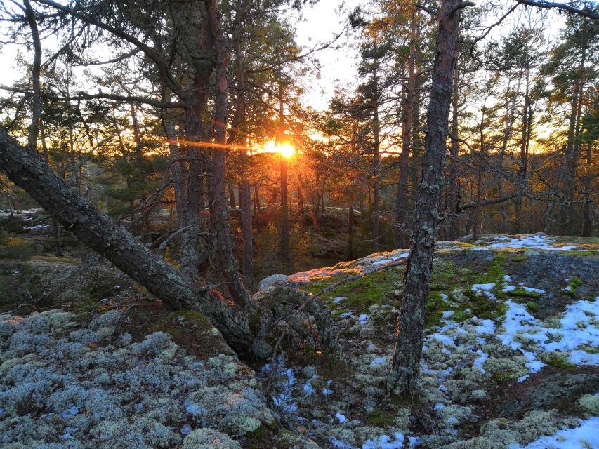 Stockholm: Nature Hike with Campfire Lunch - Winter Timing: Torches for the Last Part of the Hike