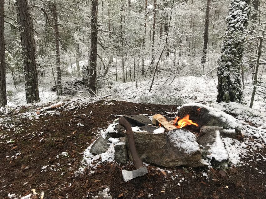 Stockholm: Nature Hike with Campfire Lunch - Afternoon Animal Spotting: Why This Schedule Works