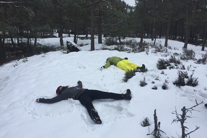 Stockholm: Nature Reserve Hiking Tour with Campfire Lunch - Key highlights worth marking
